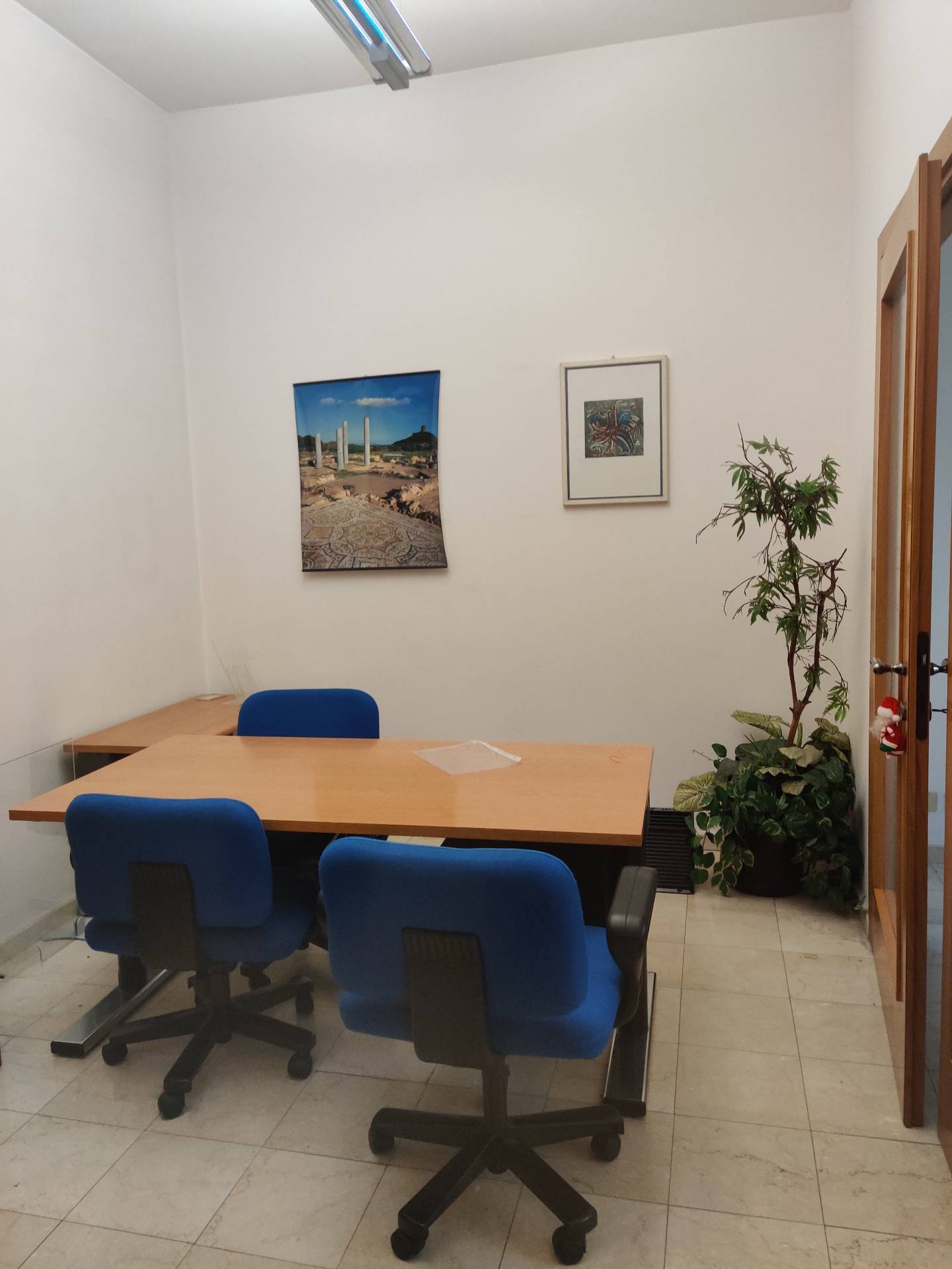 immagine annuncio 5 di 6