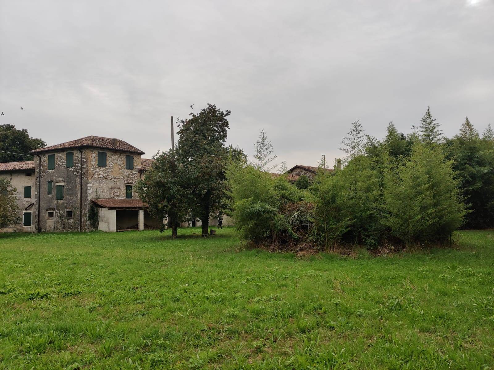 immagine annuncio 3 di 6