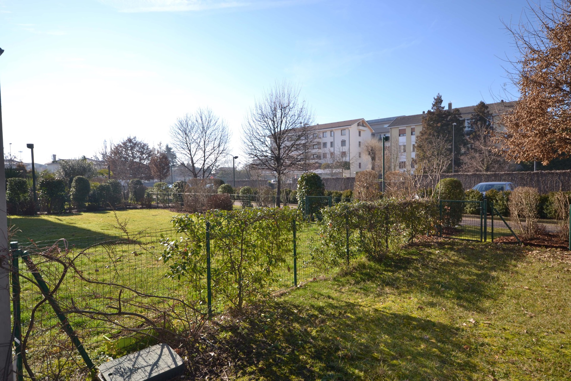 Mini in vendita a Treviso, Fuori Mura