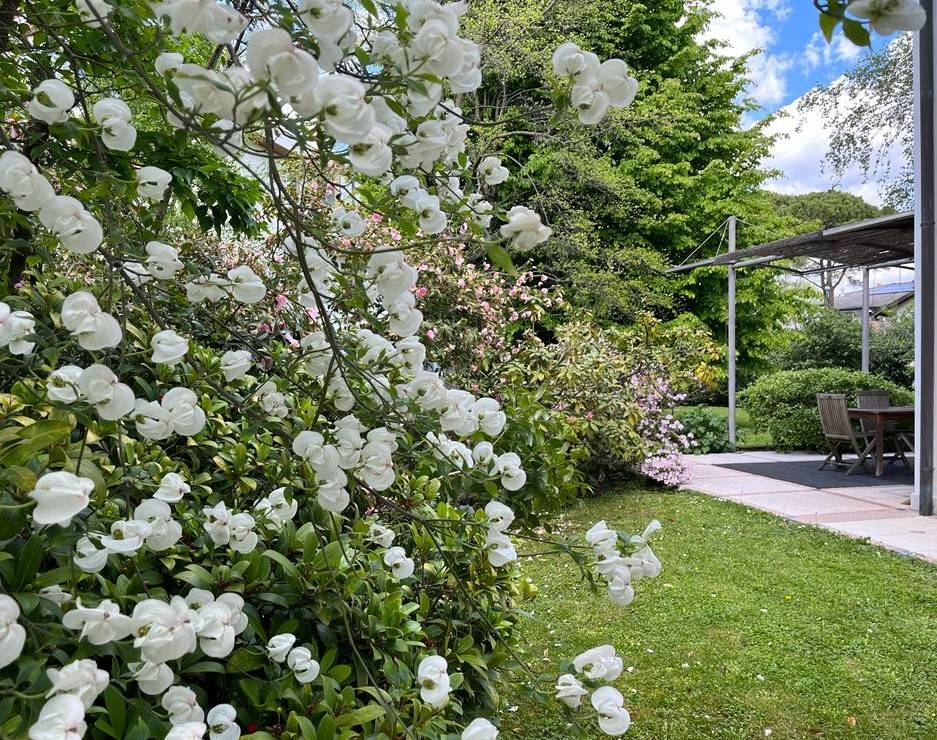 Abbinata/Bifamiliare in vendita a Treviso