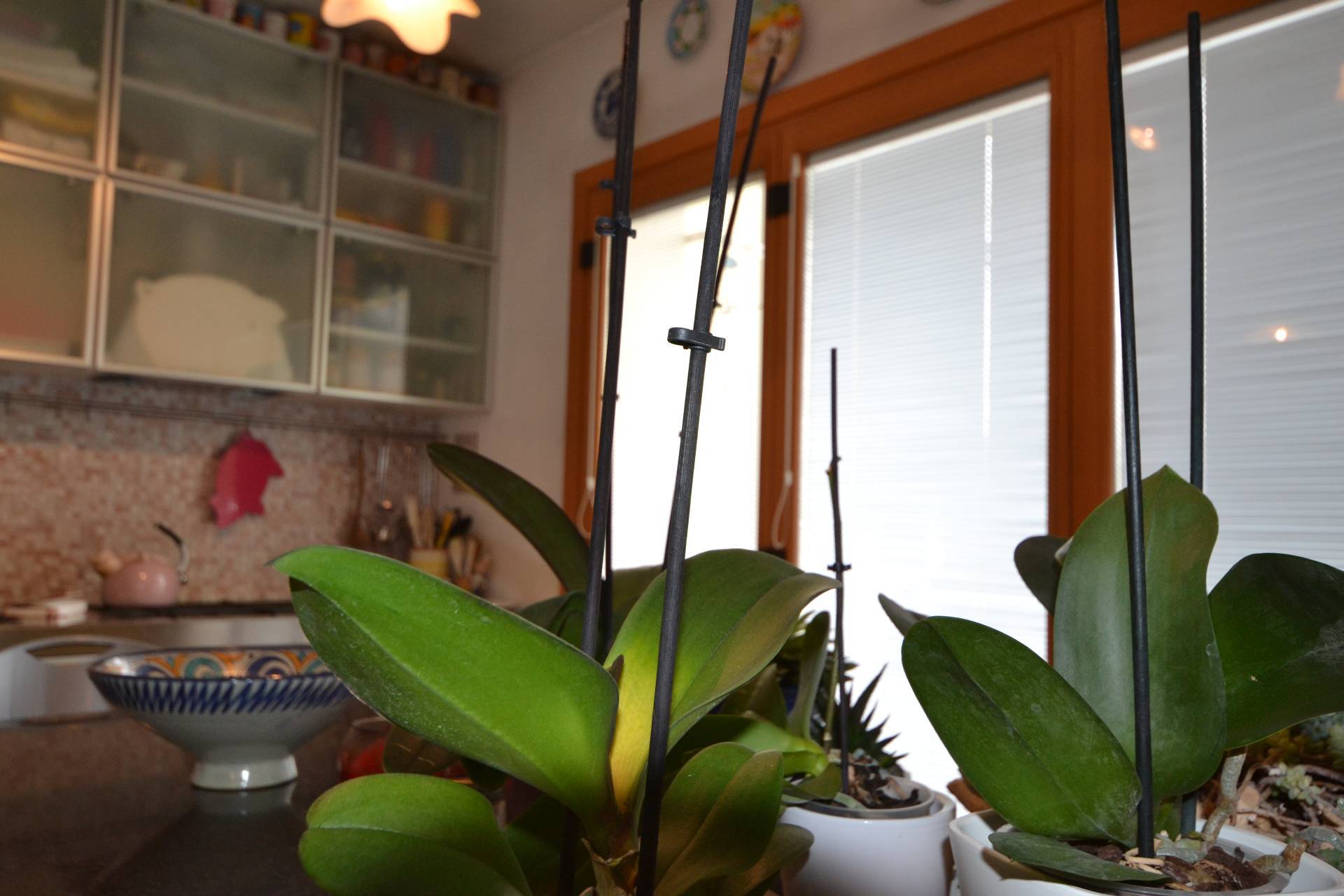 Appartamento in vendita a Belluno, Centro storico