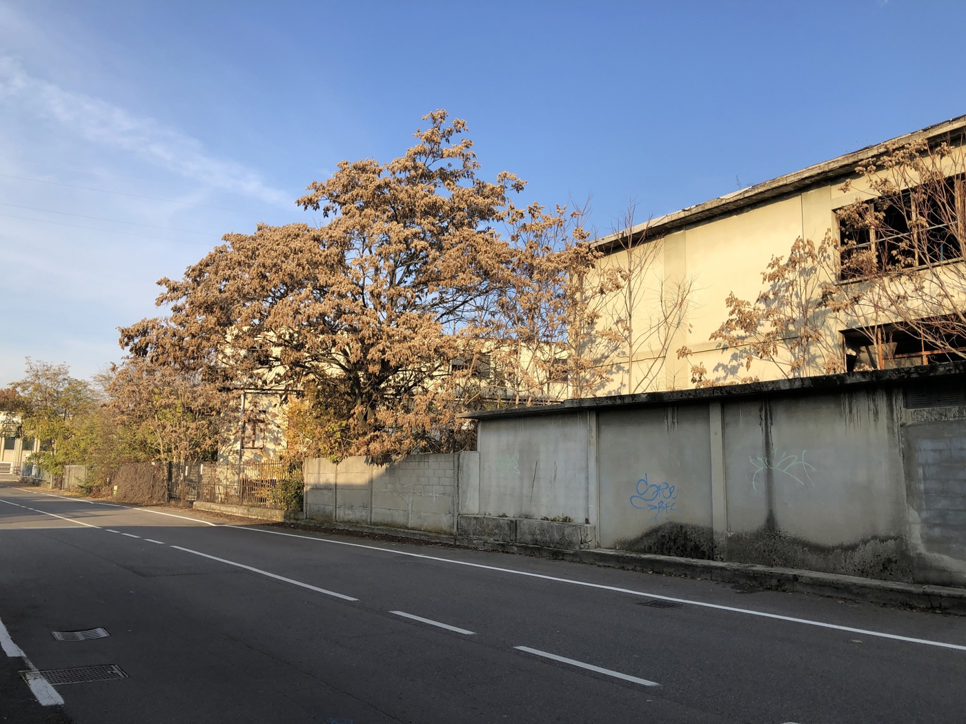 Capannone in vendita a Cinisello Balsamo