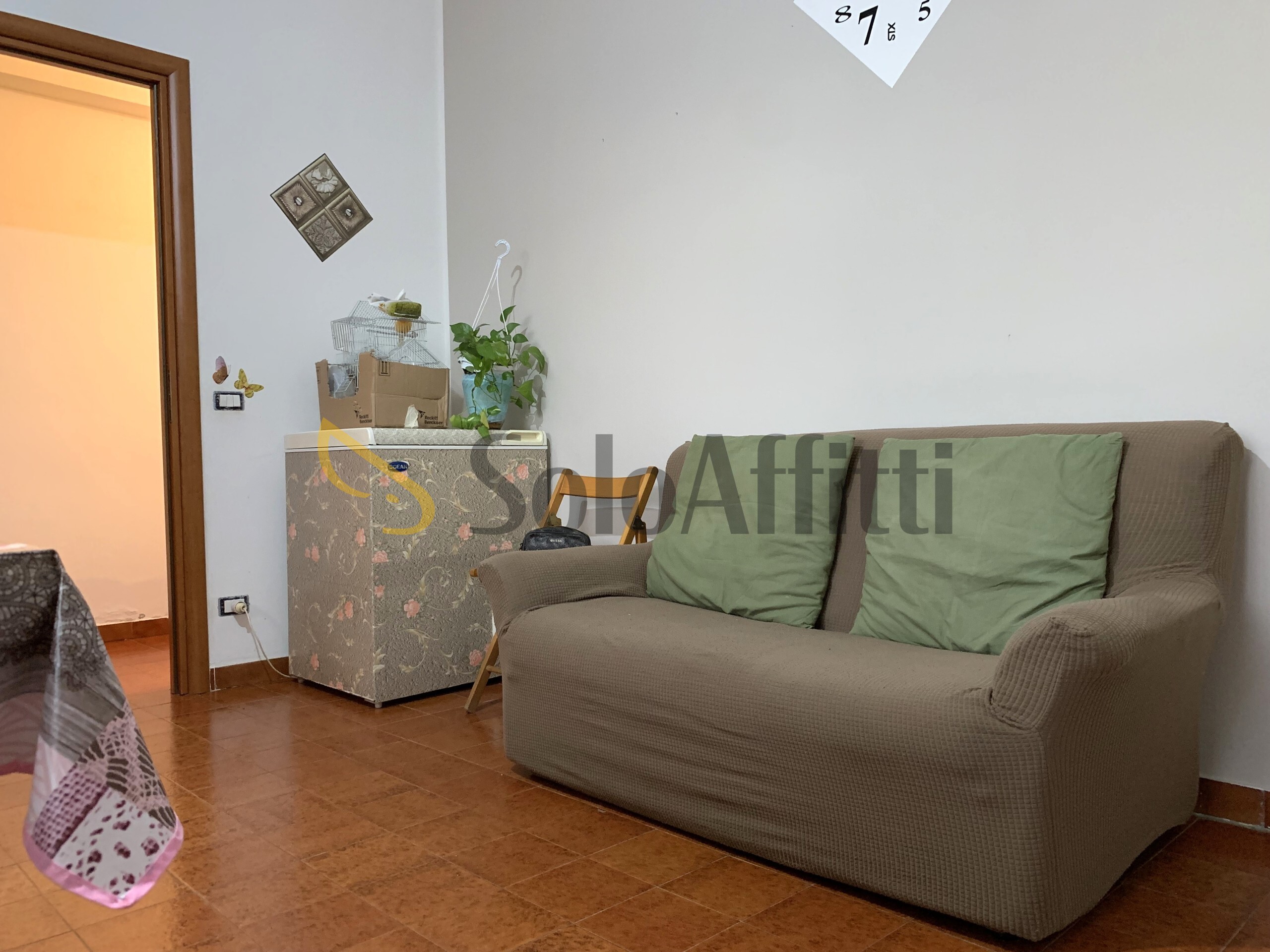 Bilocale in affitto, Catanzaro cavita