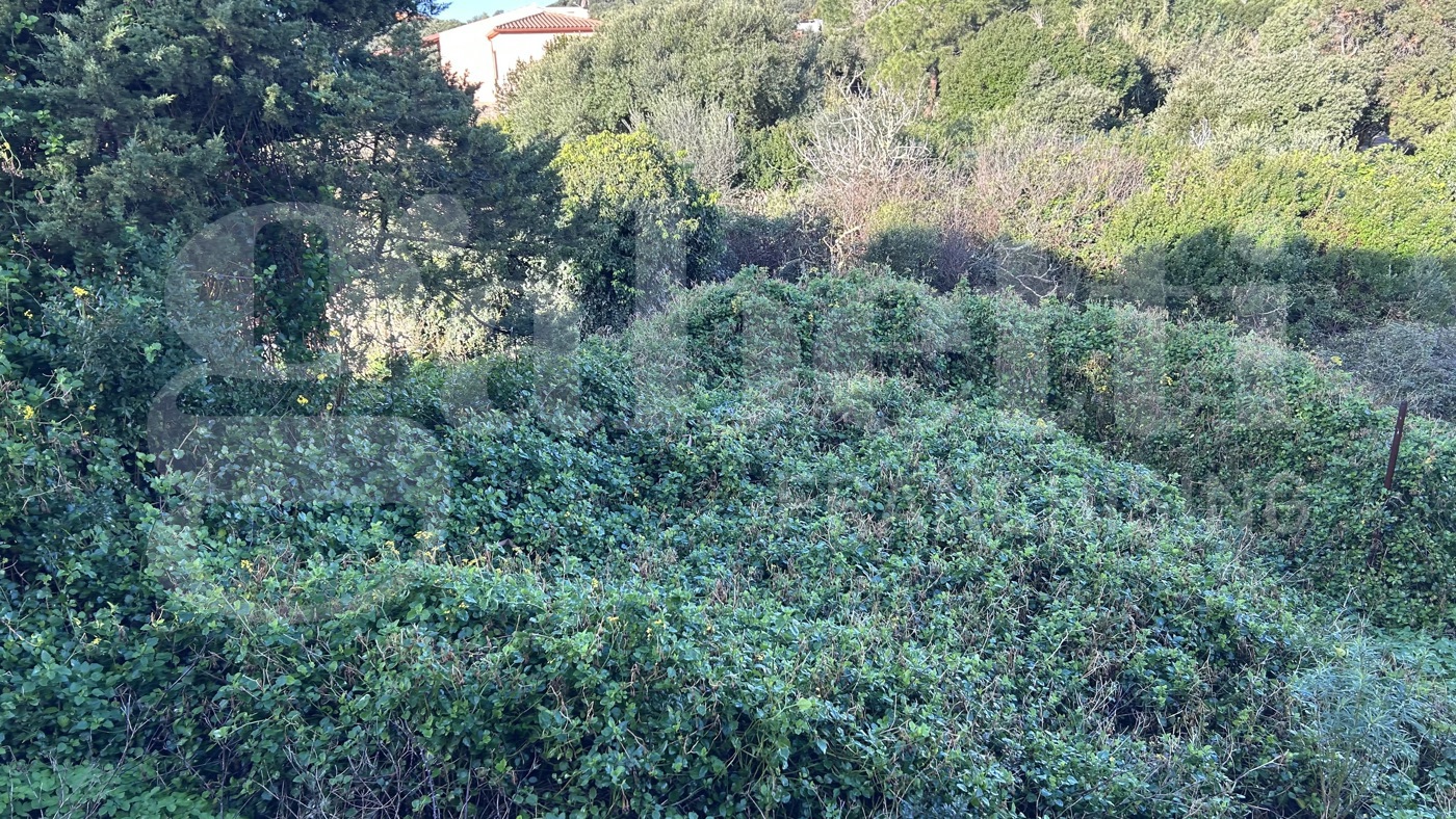 Terreno Edificabile in vendita a Santa Teresa Gallura