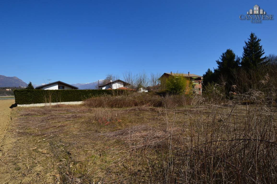 immagine annuncio 2 di 6
