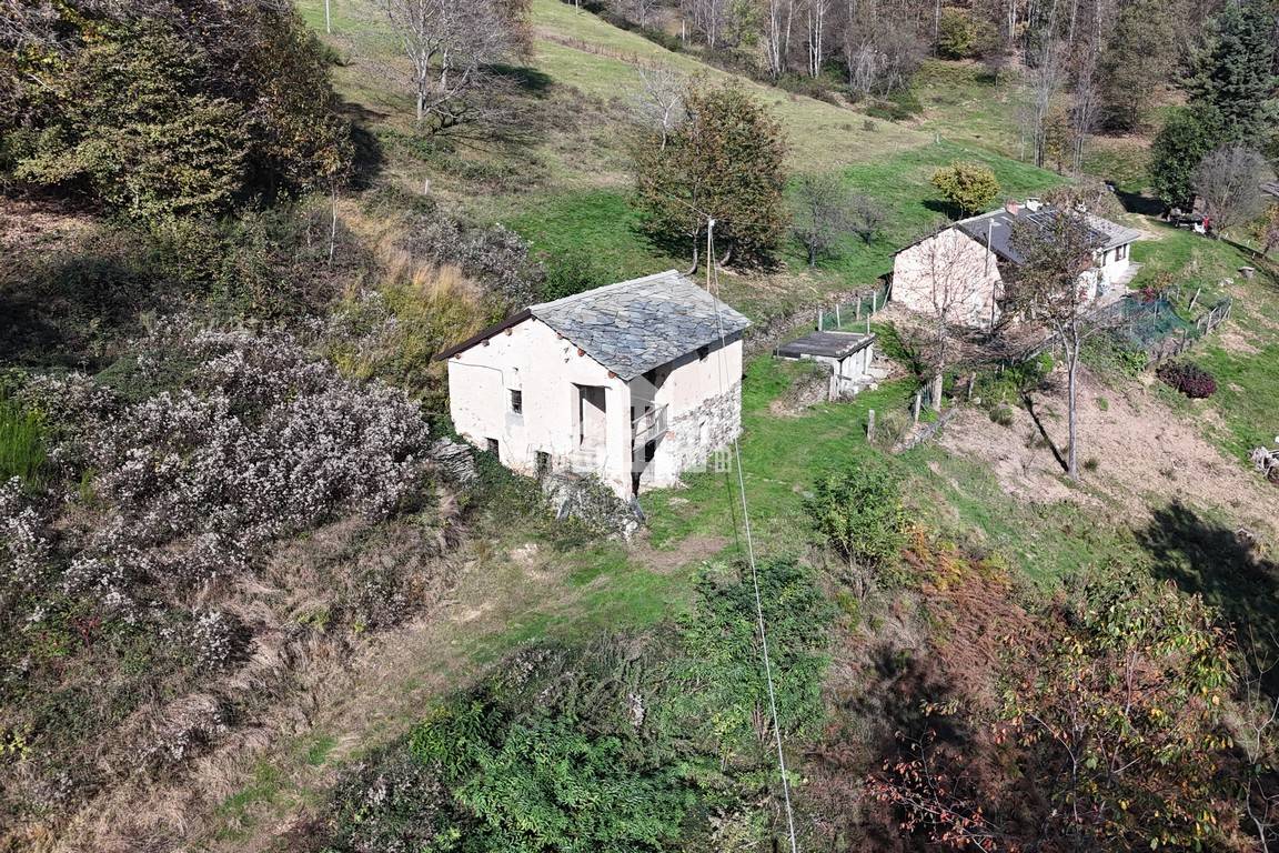 immagine annuncio 4 di 6