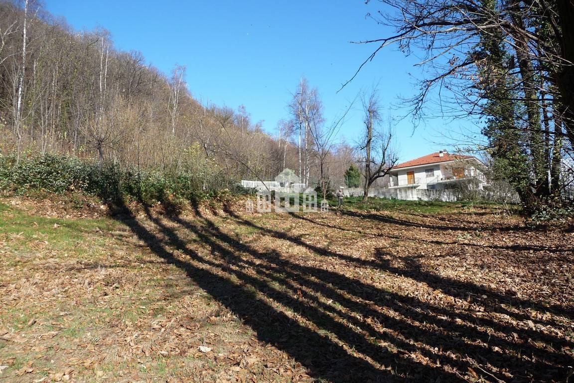 immagine annuncio 2 di 6