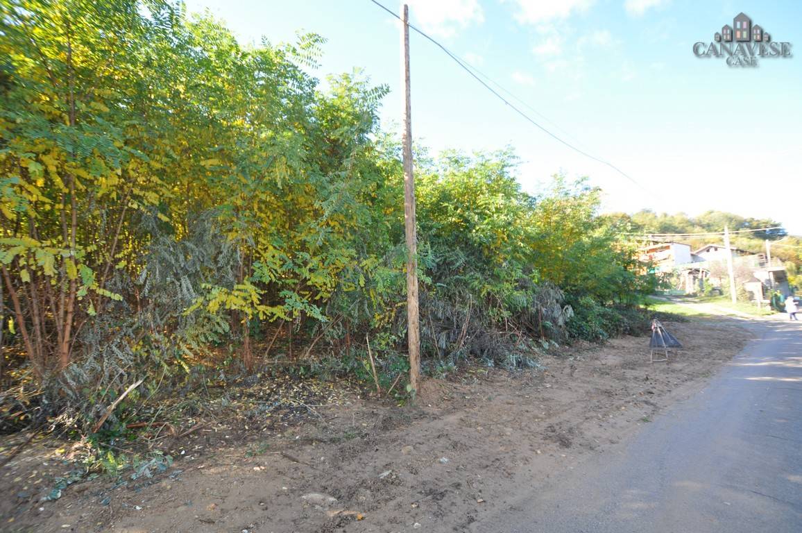 immagine annuncio 4 di 8