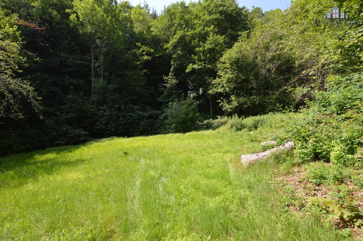 Rustico in vendita a Valchiusa, Trausella