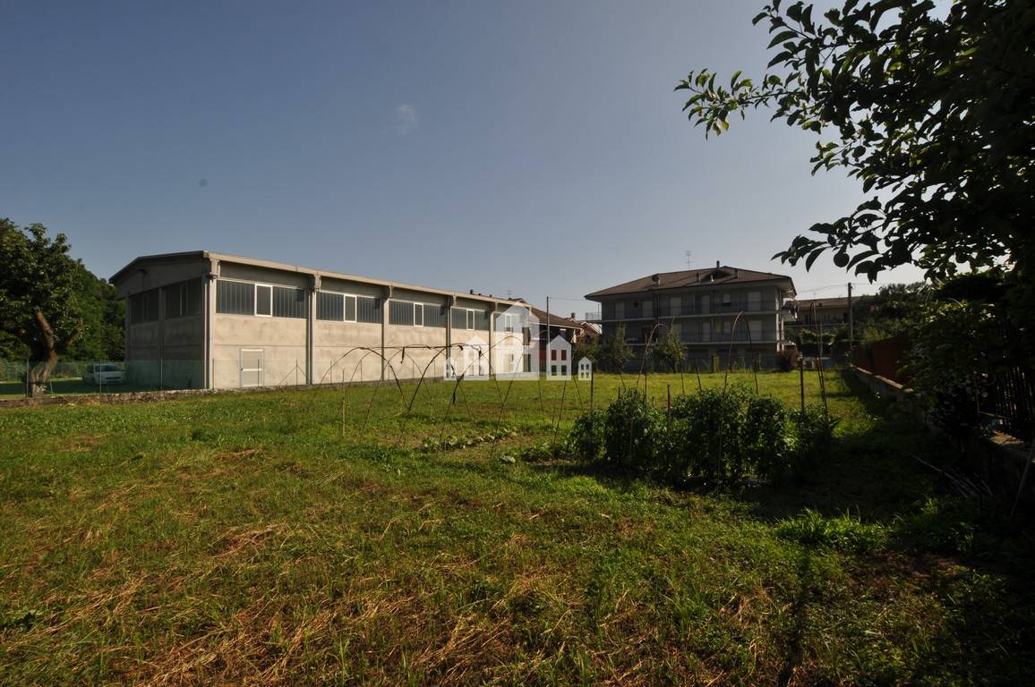 immagine annuncio 6 di 10