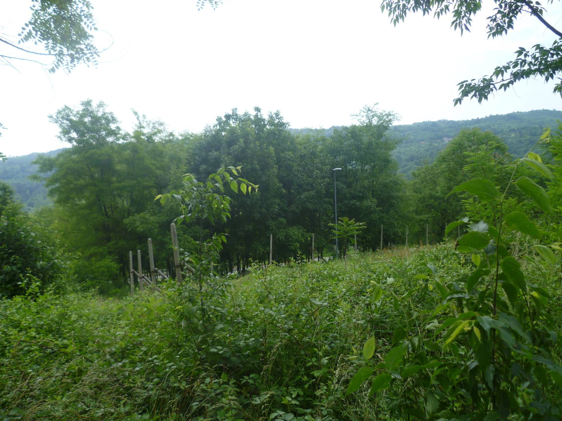 Terreno edificabile in vendita a Strambinello