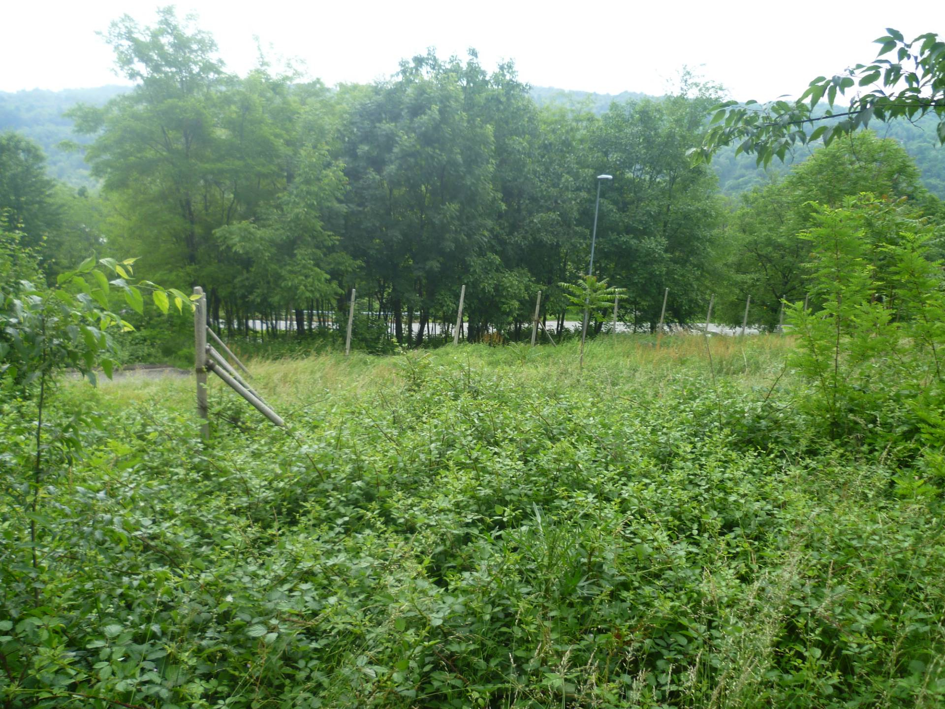 Terreno edificabile in vendita a Strambinello