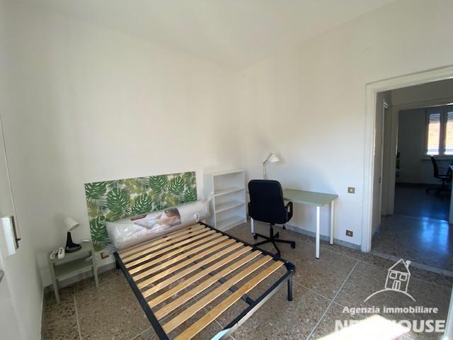 Stanza Singola in affitto, Pisa ingegneria