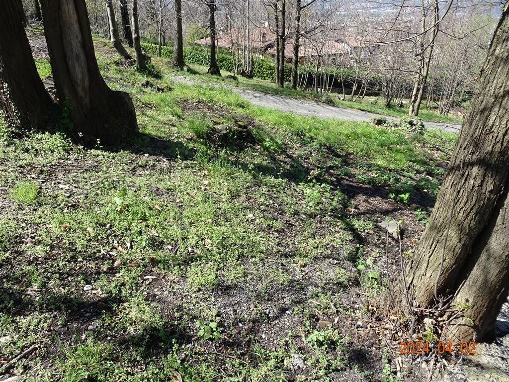 Terreno in vendita a Ello