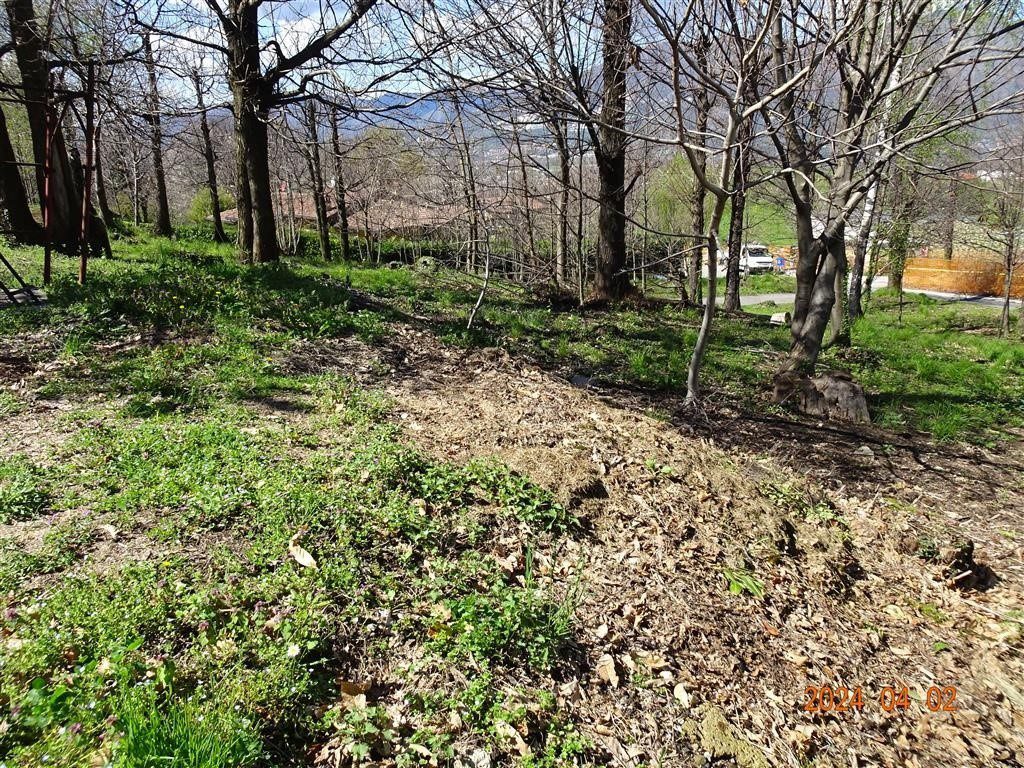 Terreno in vendita a Ello