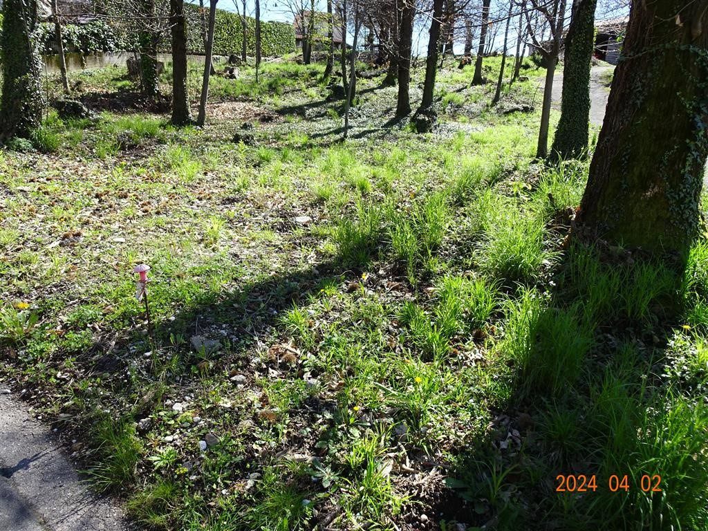 Terreno in vendita a Ello