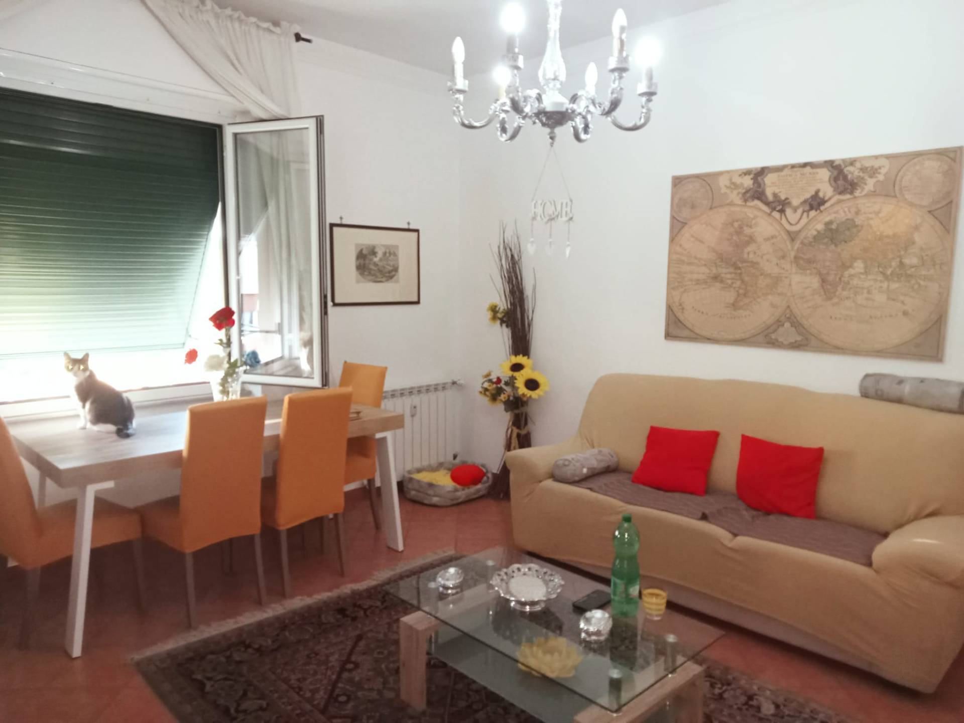 Appartamento in vendita in via pierino negrotto cambiaso, Genova