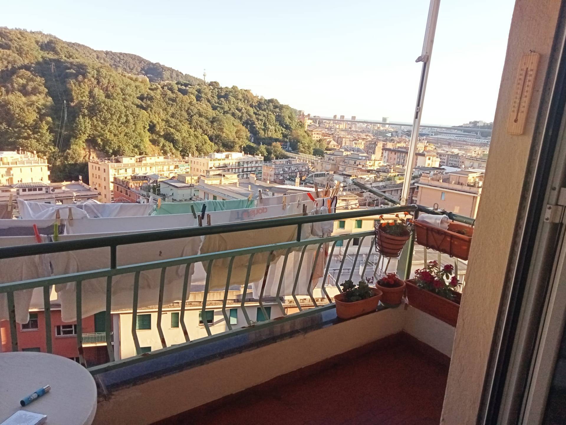 Appartamento in vendita in via pierino negrotto cambiaso, Genova