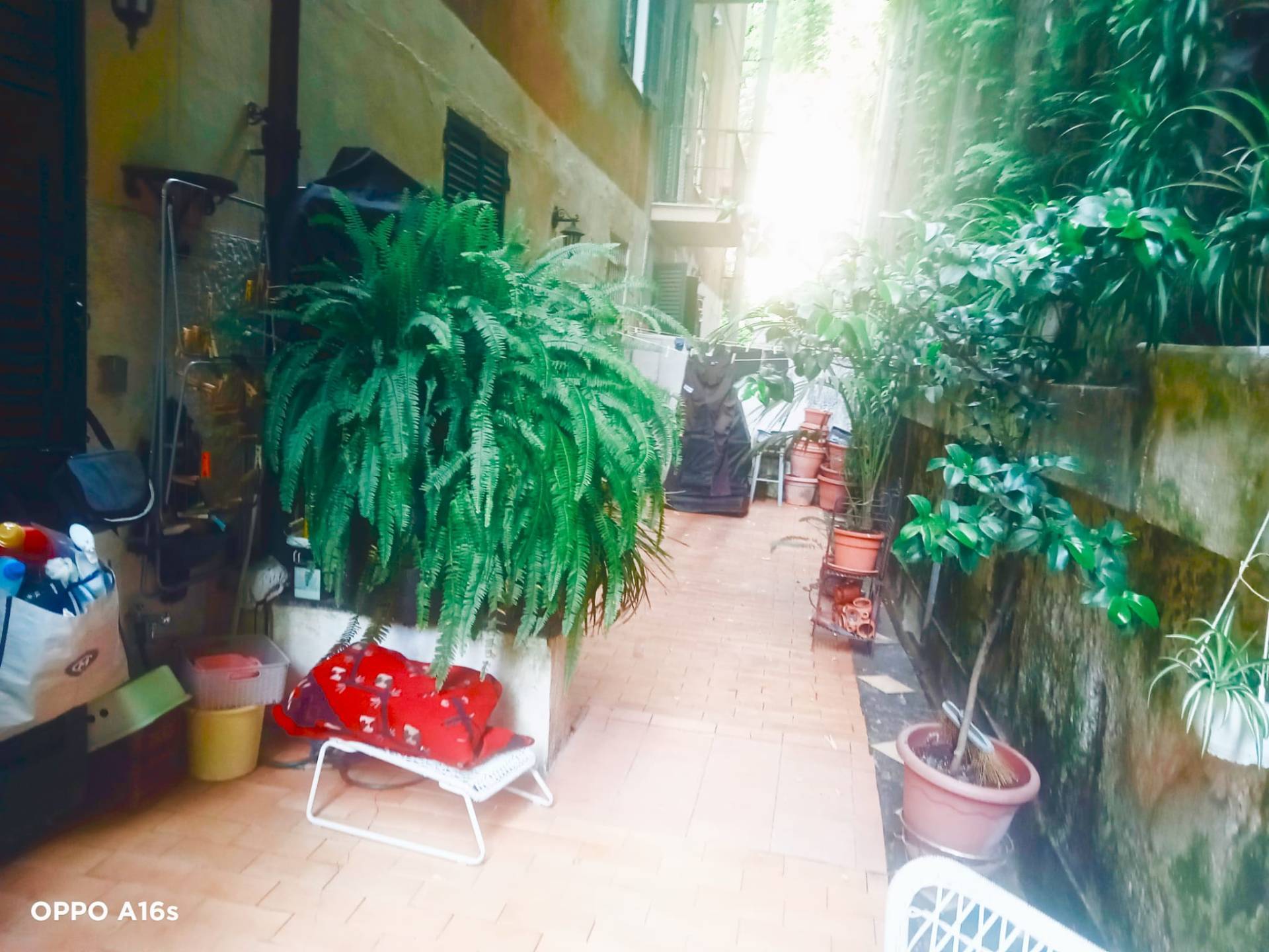 Appartamento con terrazzo in via venezia, Genova