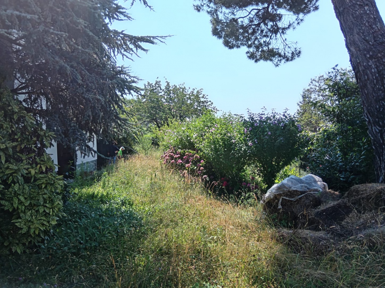 Villa con giardino a Stella