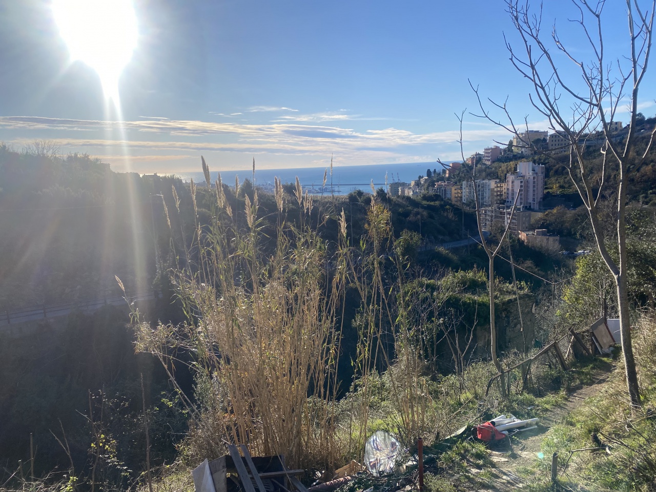 Villa con giardino in via bartolomeo bianco, Genova