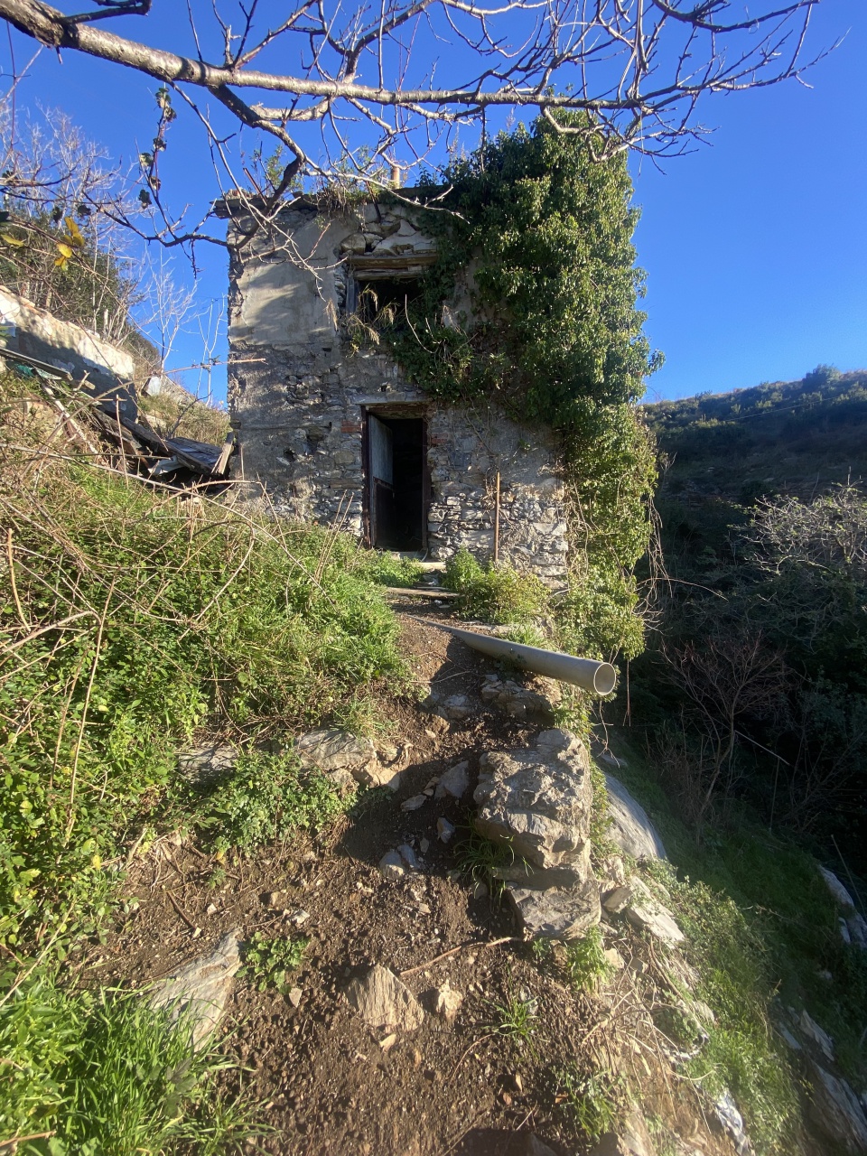 Villa con giardino in via bartolomeo bianco, Genova