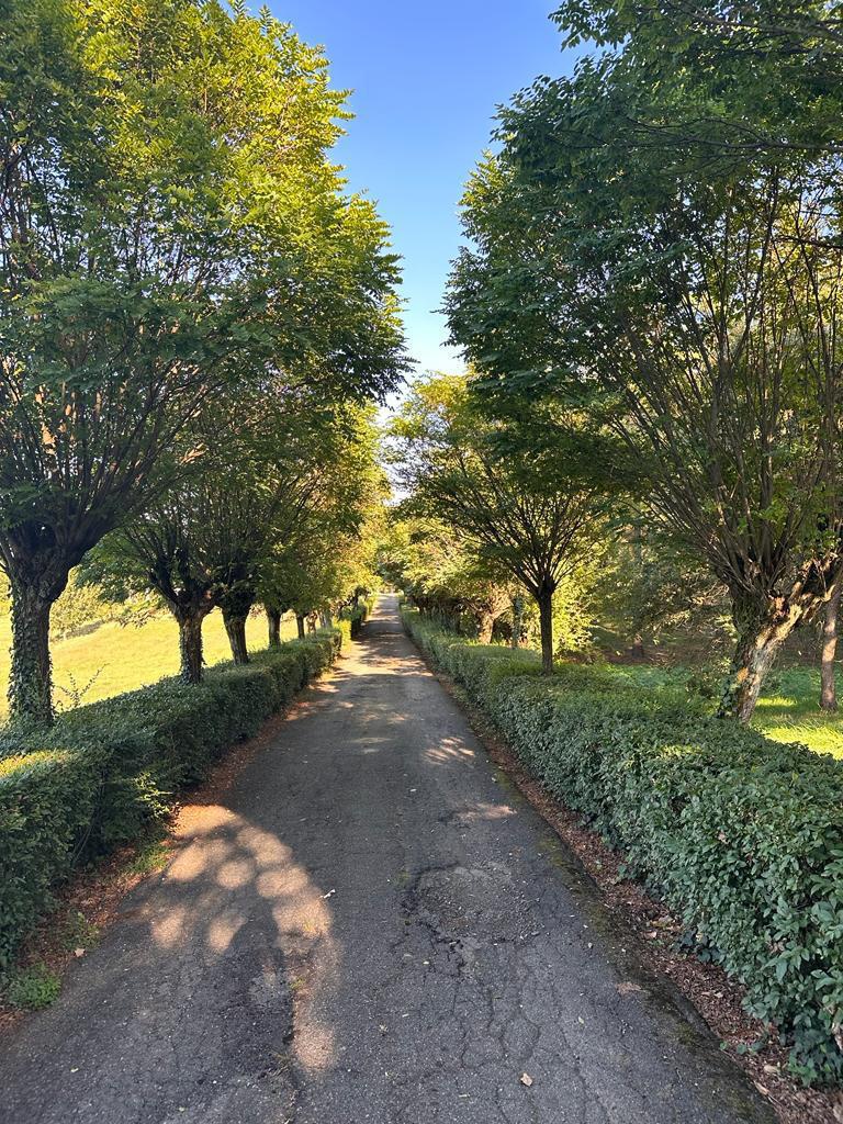 Villa in vendita in cassano spinola, Novi Ligure