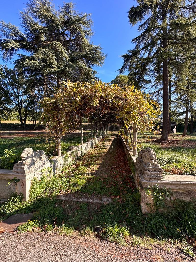 Villa in vendita in cassano spinola, Novi Ligure