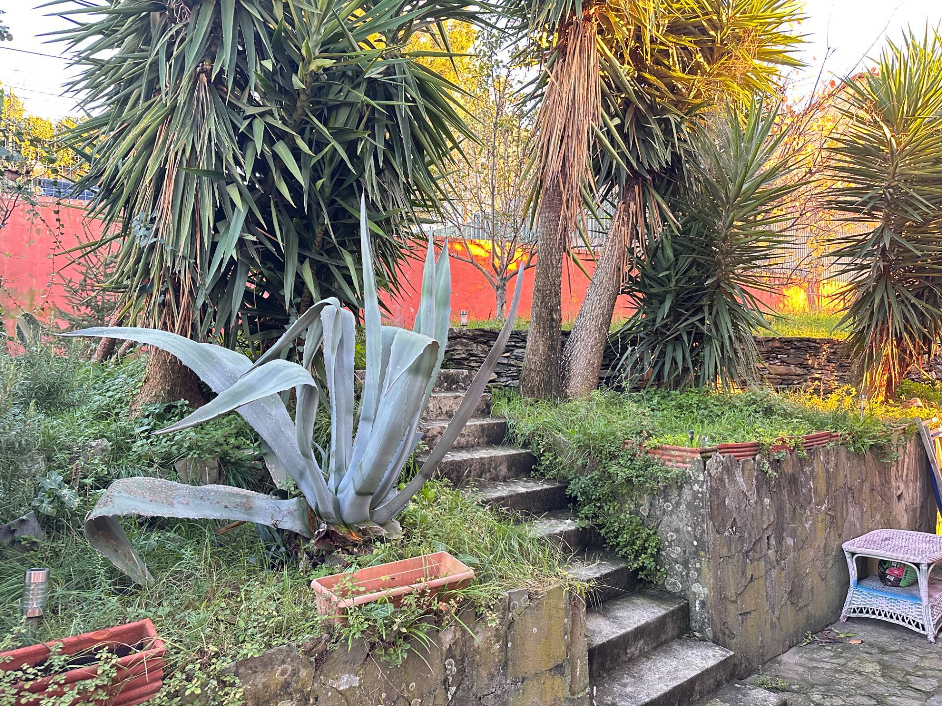 Villa con giardino a Lavagna