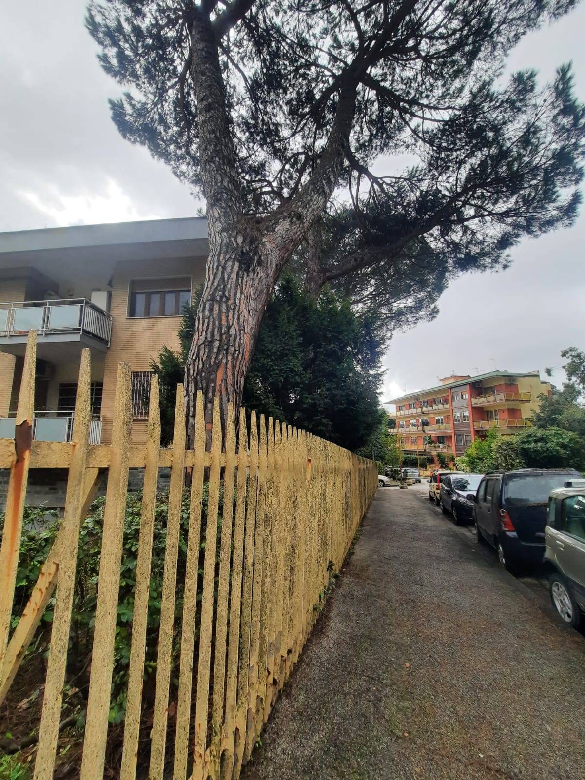 Appartamento con terrazzo, Napoli vomero