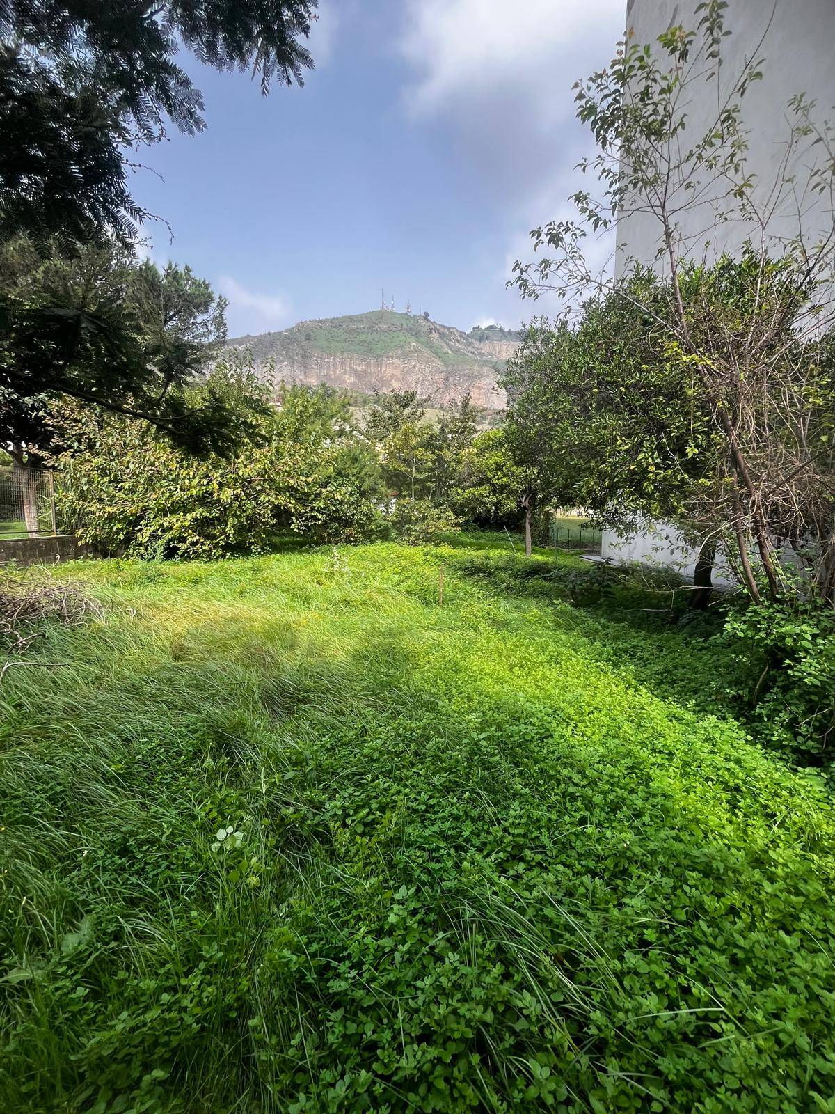 Terreno Agricolo in vendita a Napoli, Soccavo