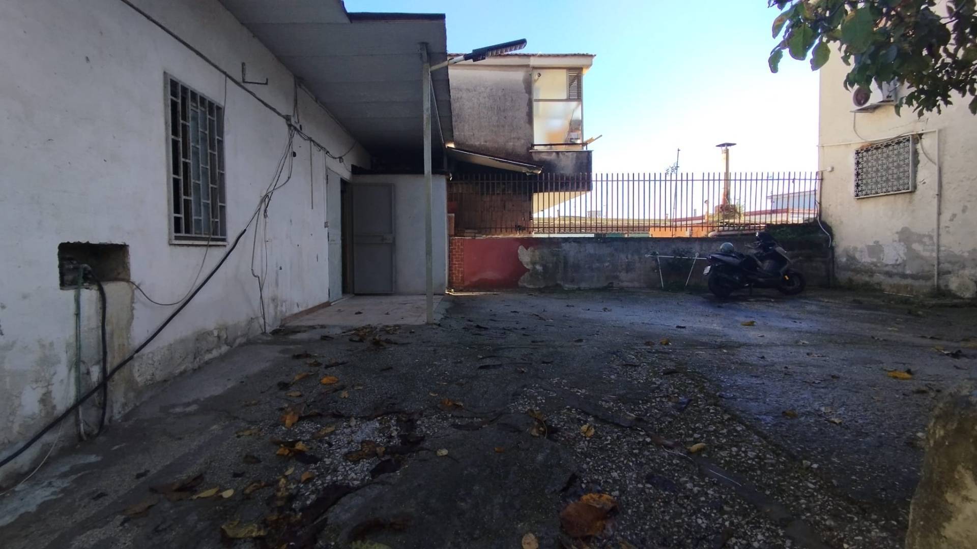 immagine annuncio 5 di 6
