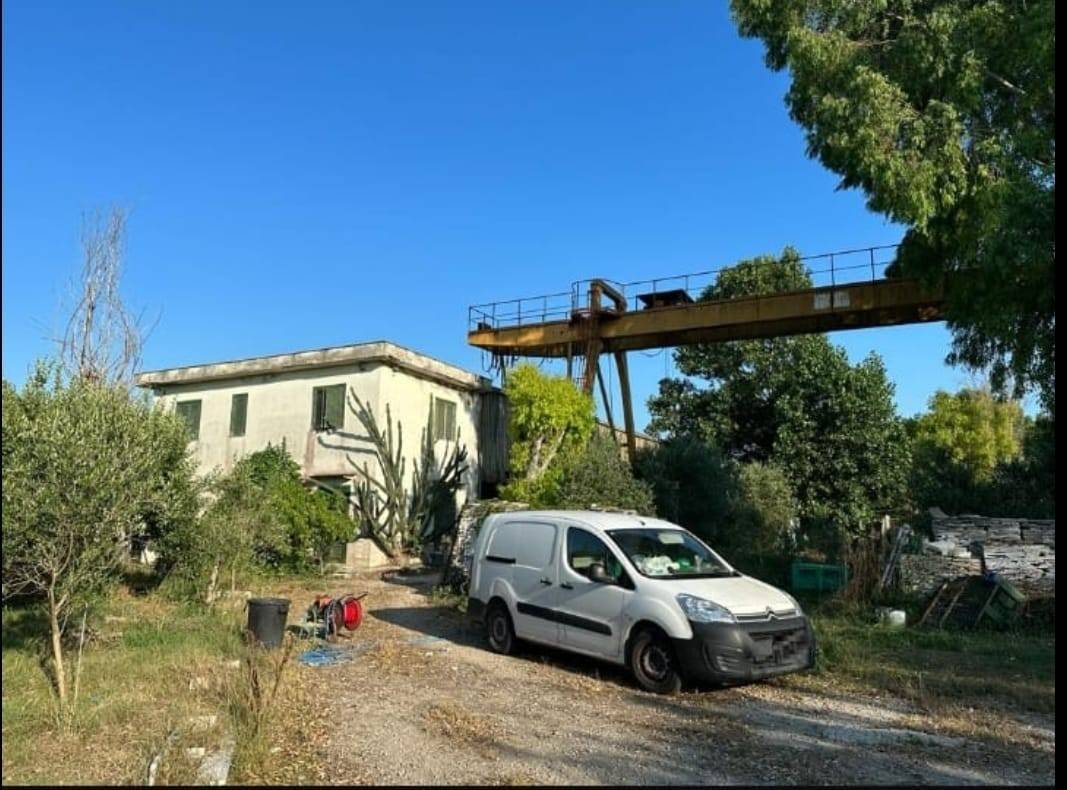 immagine annuncio 5 di 6