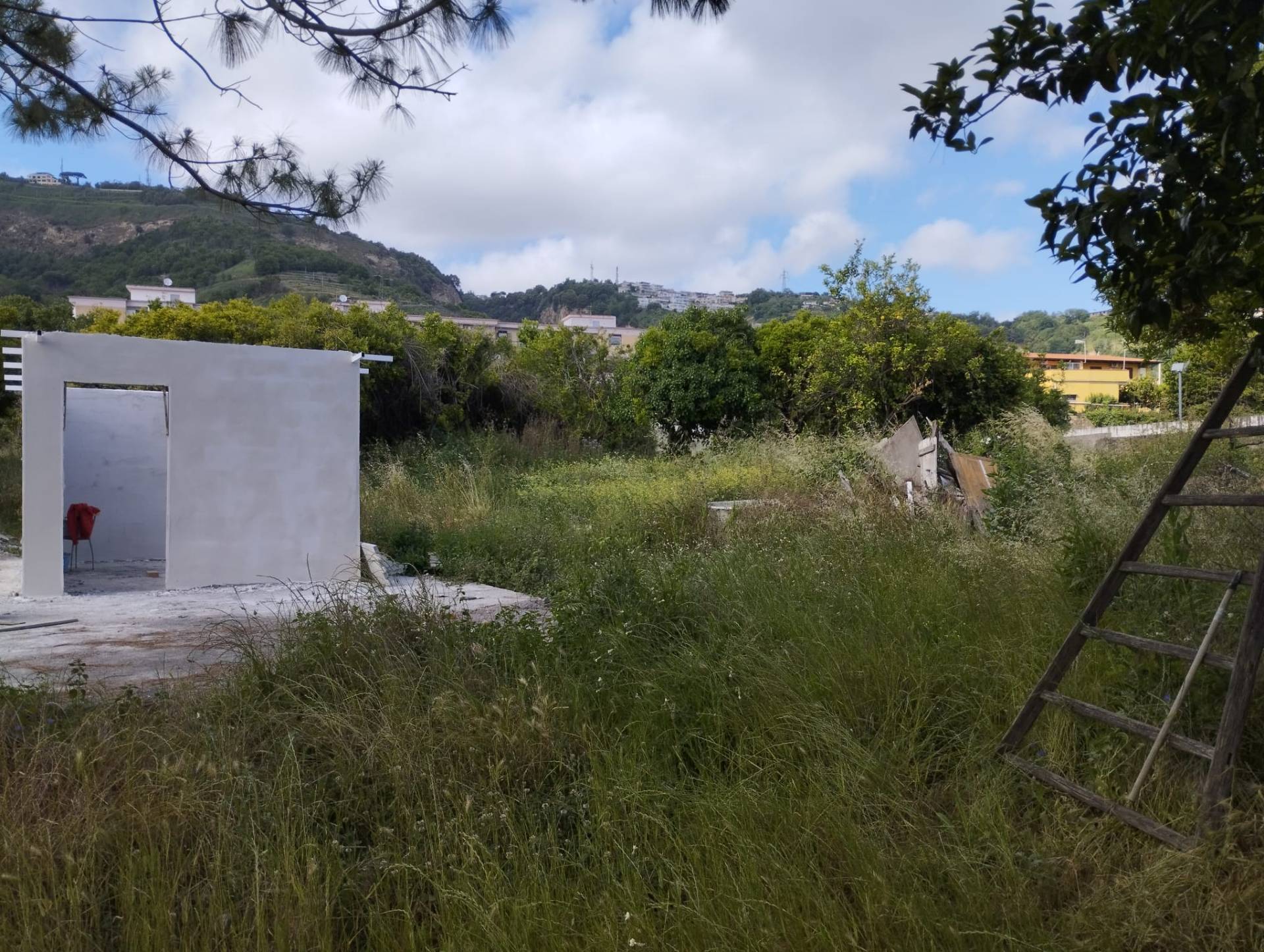 Terreno Agricolo in affitto a Napoli
