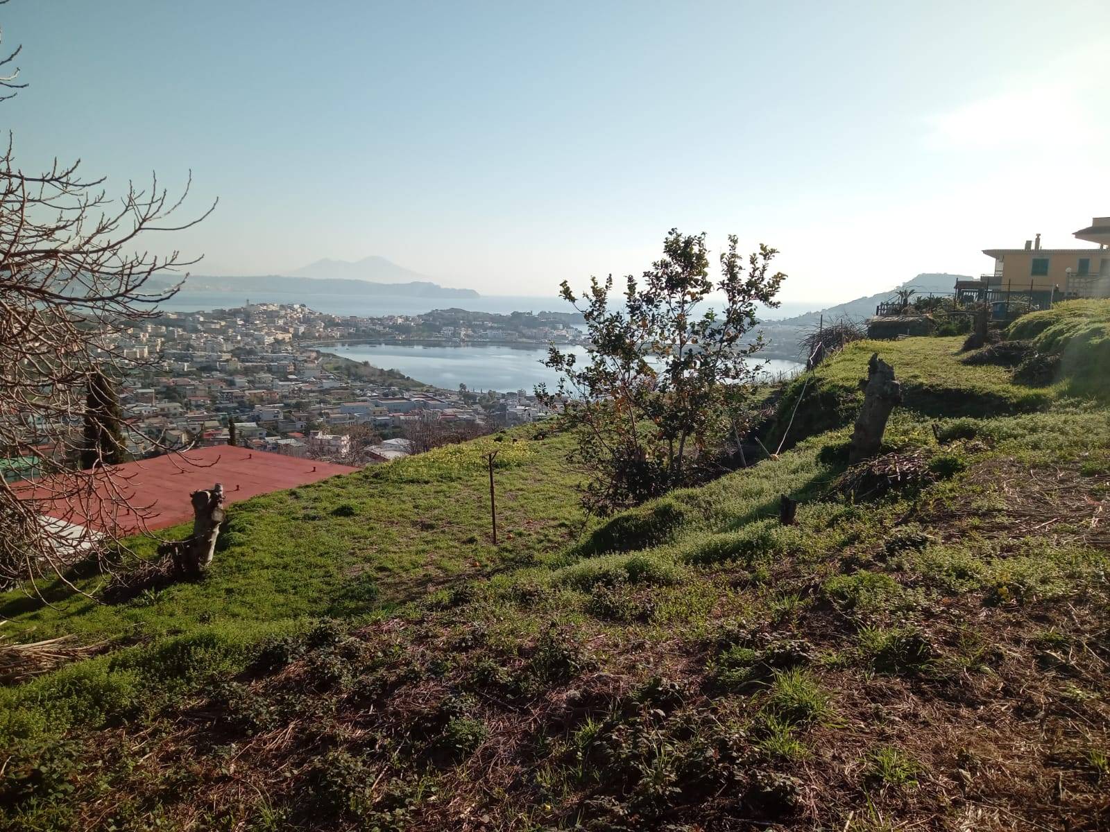 Terreno Agricolo in vendita a Monte di Procida