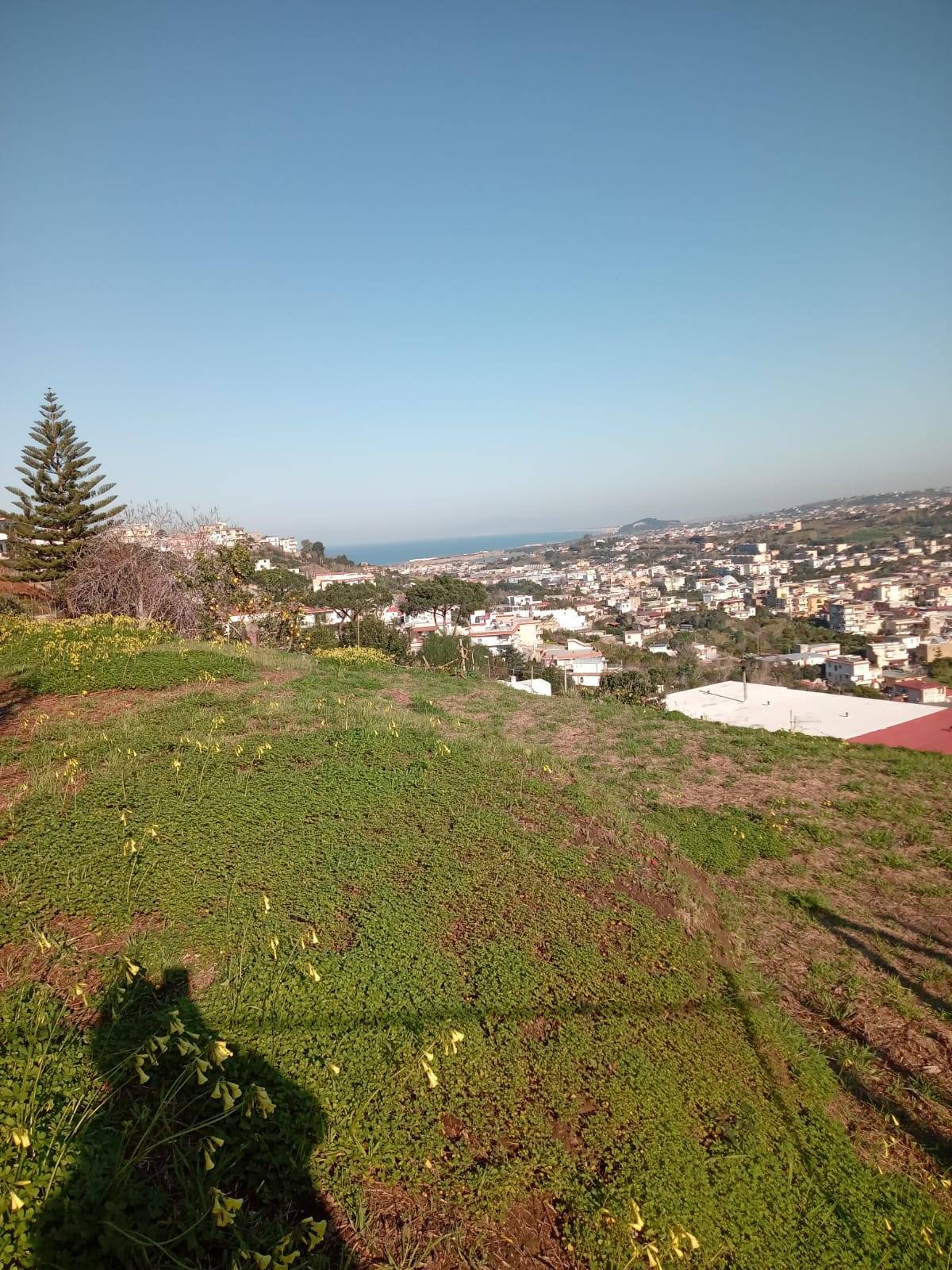 Terreno Agricolo in vendita a Monte di Procida