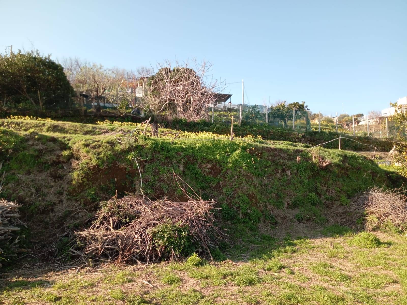 Terreno Agricolo in vendita a Monte di Procida