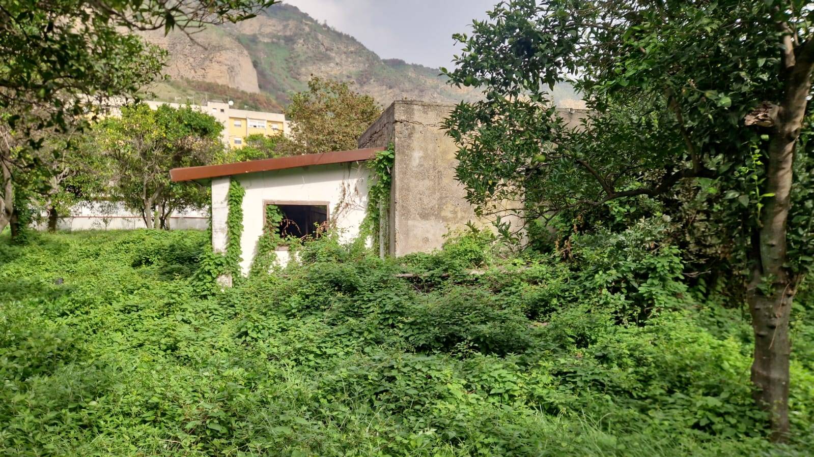 Terreno Agricolo in vendita a Napoli
