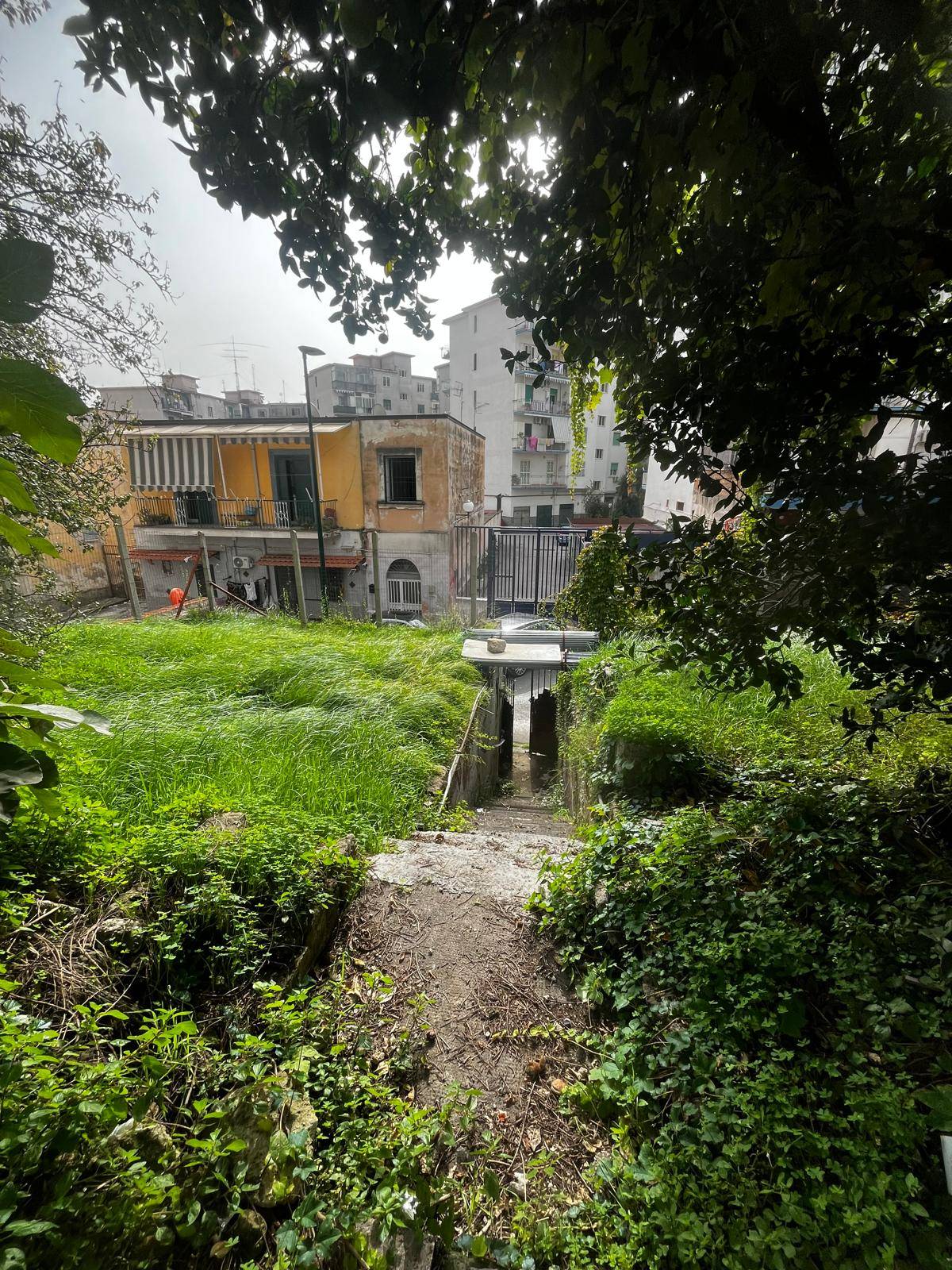 Terreno Agricolo in vendita a Napoli