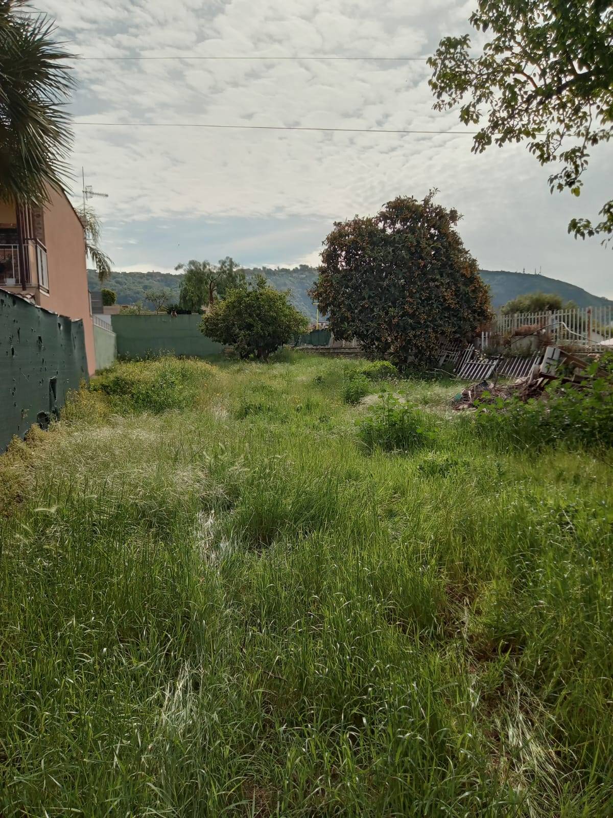 Terreno Agricolo in vendita a Napoli
