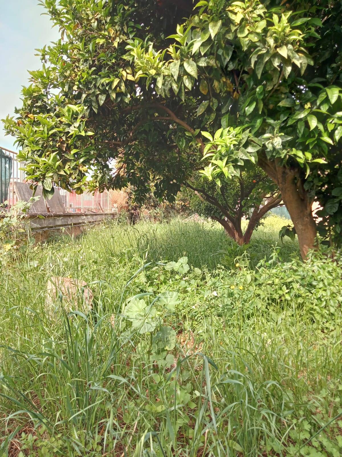 Terreno Agricolo in vendita a Napoli
