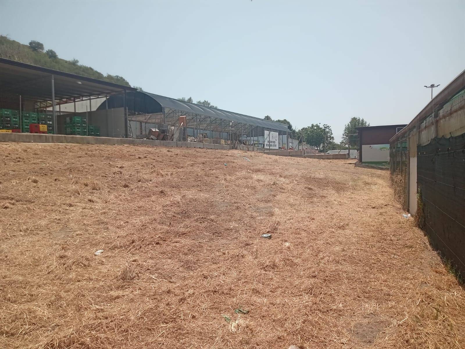 Terreno Agricolo in affitto a Napoli