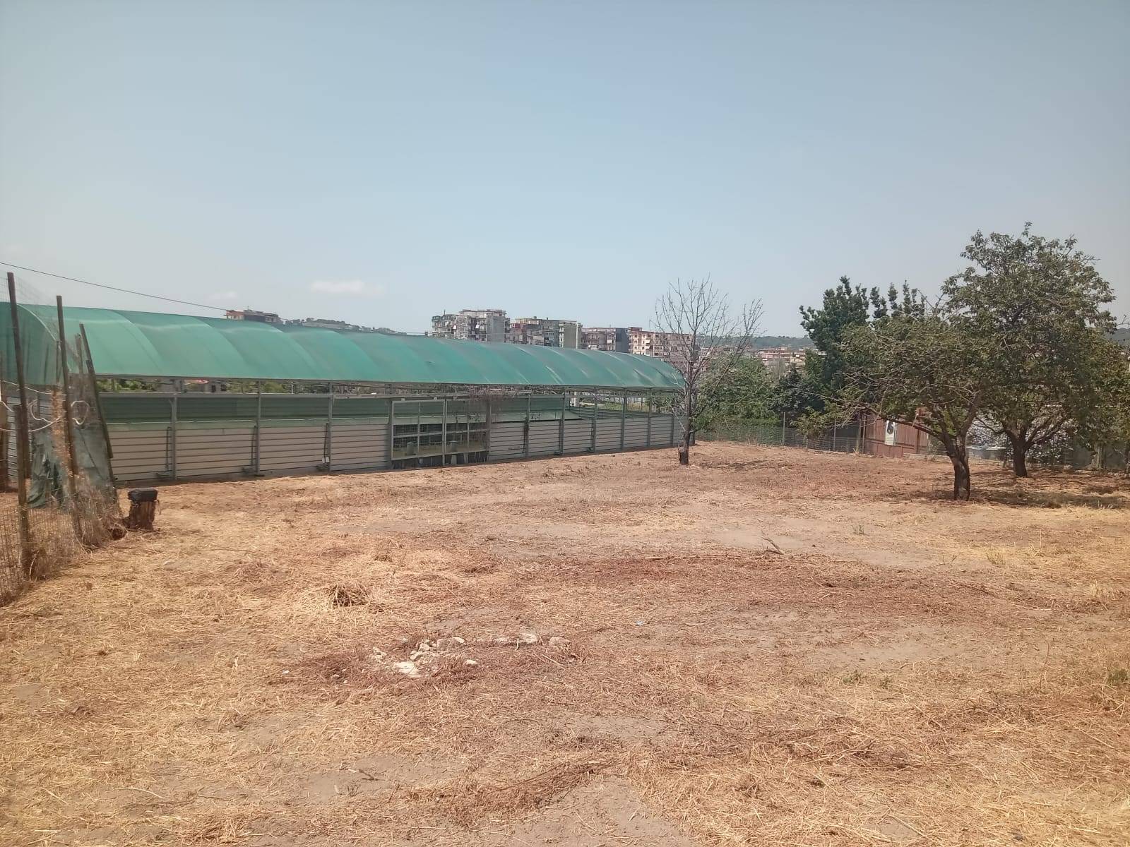 Terreno Agricolo in affitto a Napoli