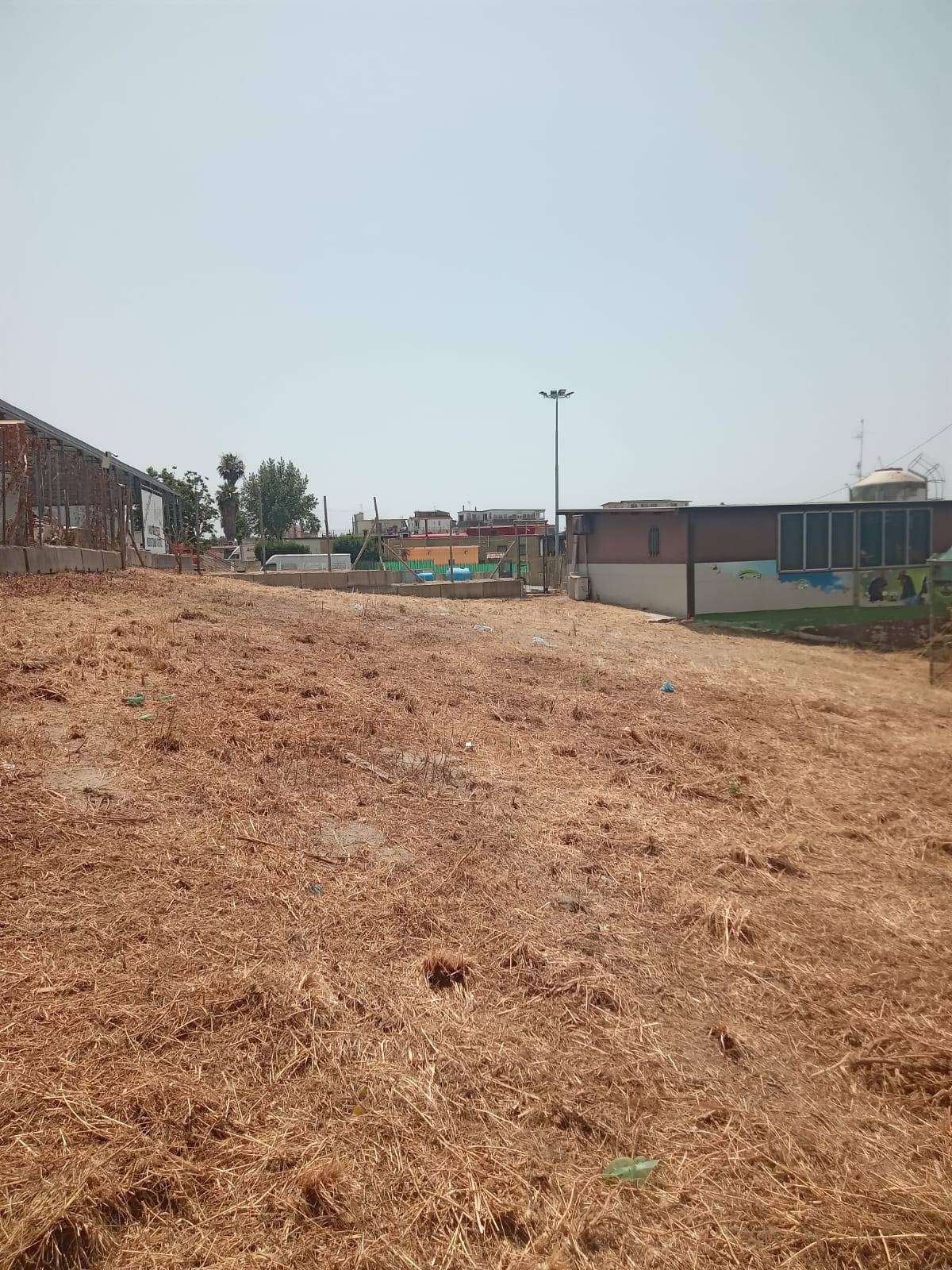 Terreno Agricolo in affitto a Napoli