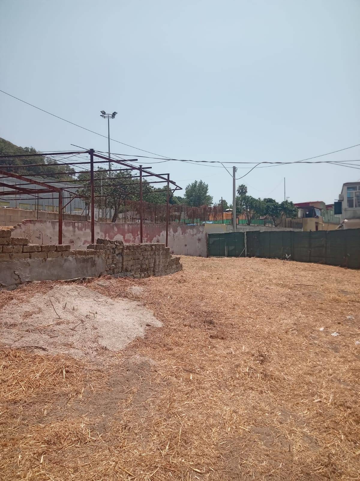 Terreno Agricolo in affitto a Napoli