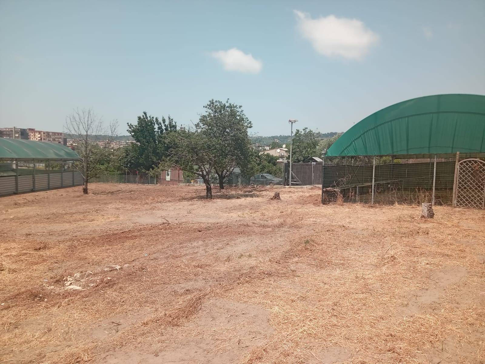 Terreno Agricolo in affitto a Napoli