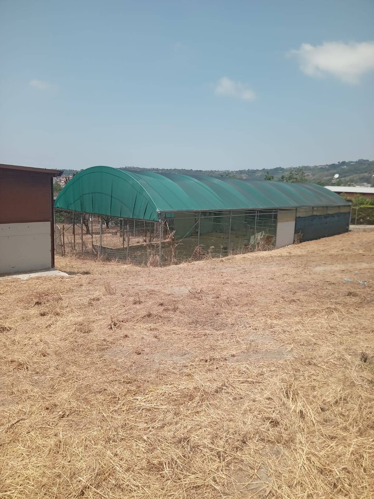 Terreno Agricolo in affitto a Napoli