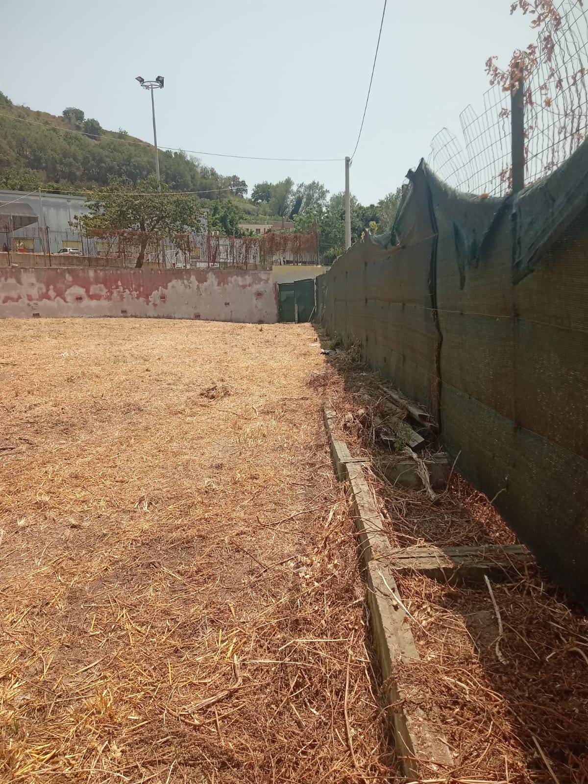 Terreno Agricolo in affitto a Napoli