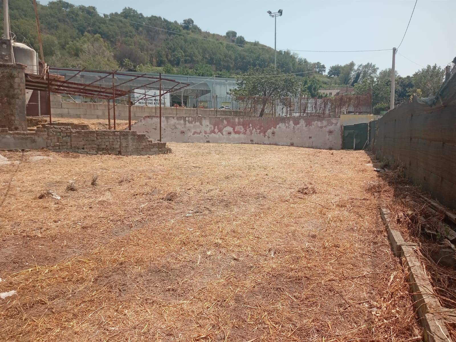 Terreno Agricolo in affitto a Napoli