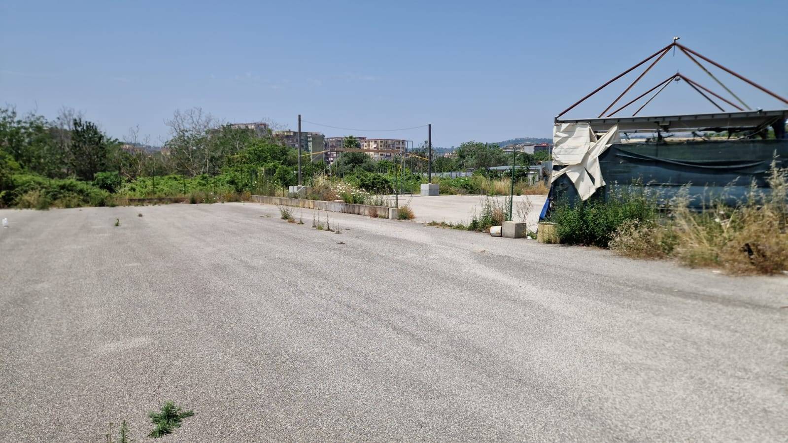 Terreno Agricolo in affitto a Napoli, Pianura